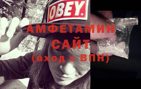 гашик Алексин