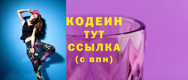 мдпв Кодинск