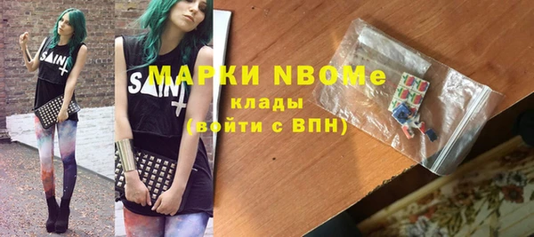 гашик Алексин