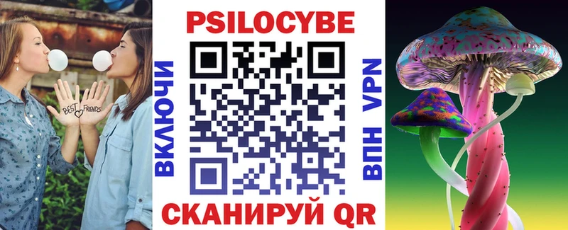 Псилоцибиновые грибы Psilocybine cubensis  Микунь 